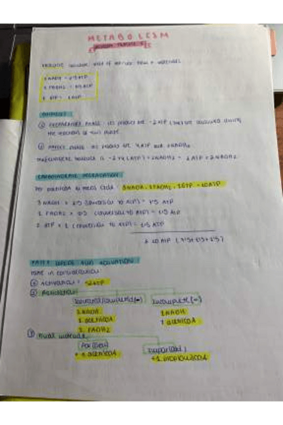 Miniatura del documento METABOLISM-CLASSROOM-PRACTICE.pdf