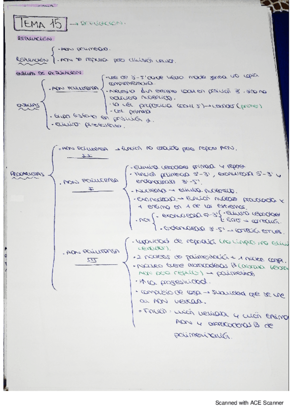 Miniatura del documento bqe-tema-15.pdf