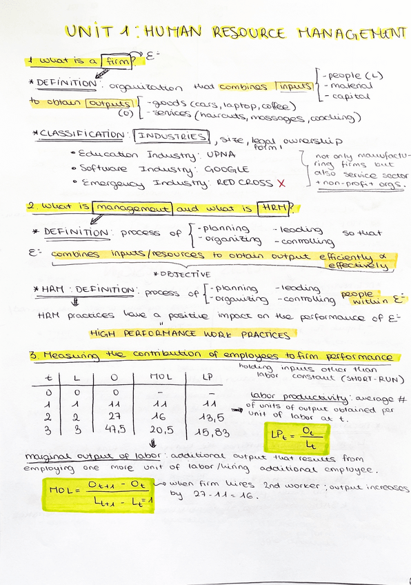 Miniatura del documento teoria-human-res..pdf