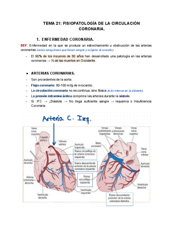 Miniatura del documento TEMA-21-FISIOPATOLOGIA-DE-LA-CIRCULACION-CORONARIA.pdf