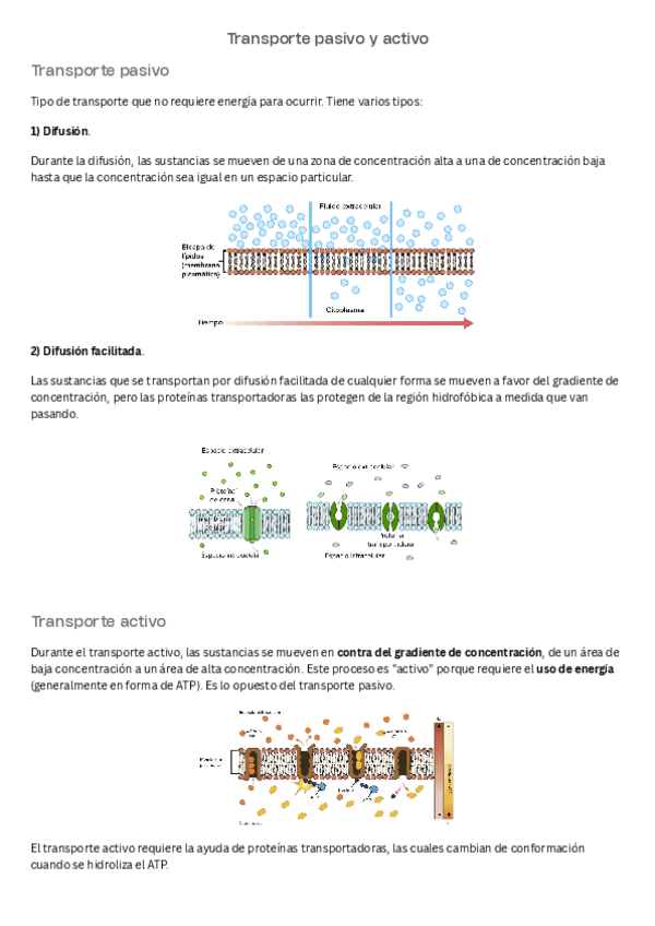 Miniatura del documento Transporte-pasivo-y-activo.pdf