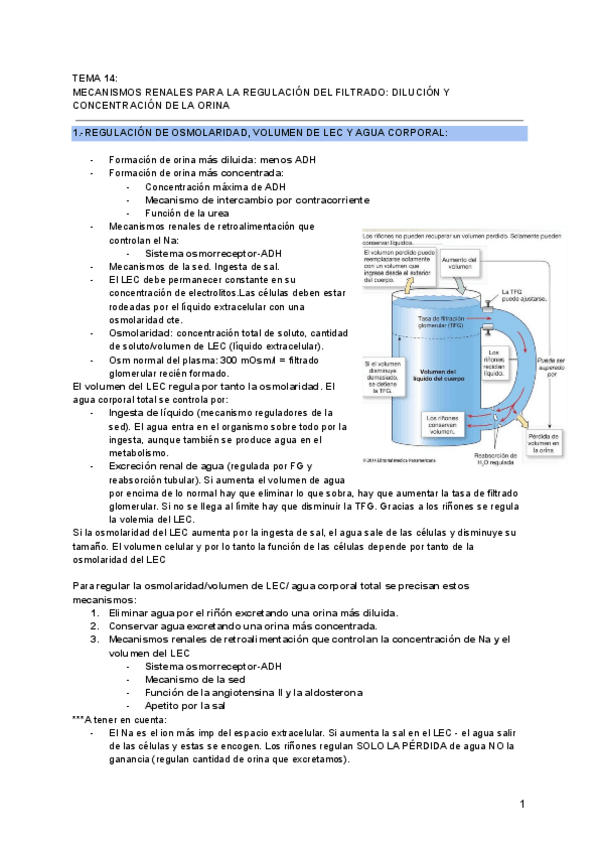 Miniatura del documento T14.DILUCION-Y-CONCENTRACION-DE-LA-ORINA.pdf