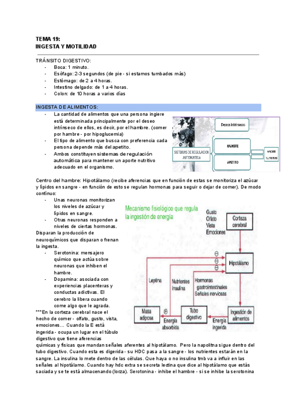 Miniatura del documento T19.INGESTA-Y-MOTLIDAD.pdf
