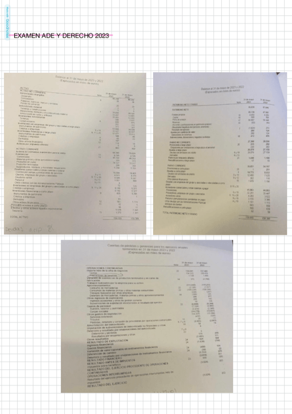 Miniatura del documento RECOPILACION-PARA-EXAMEN-MAYO-2024.pdf