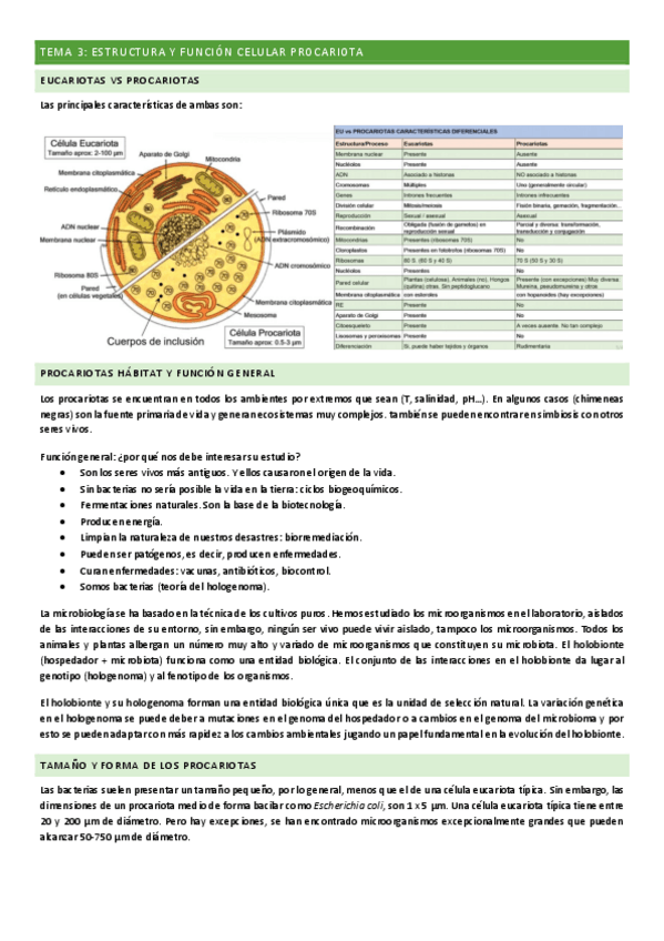 Miniatura del documento Tema-3.pdf