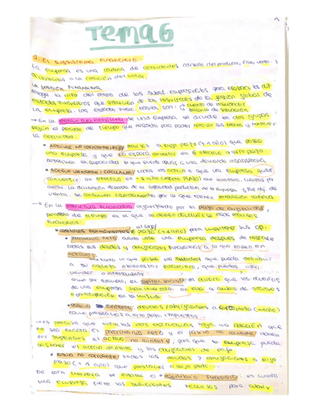 Miniatura del documento Apuntes-tema-6-GE.pdf