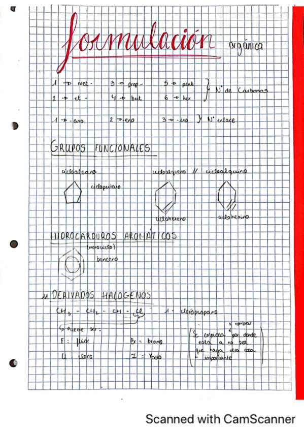 Miniatura del documento Tema-9-Quimica-organica.pdf