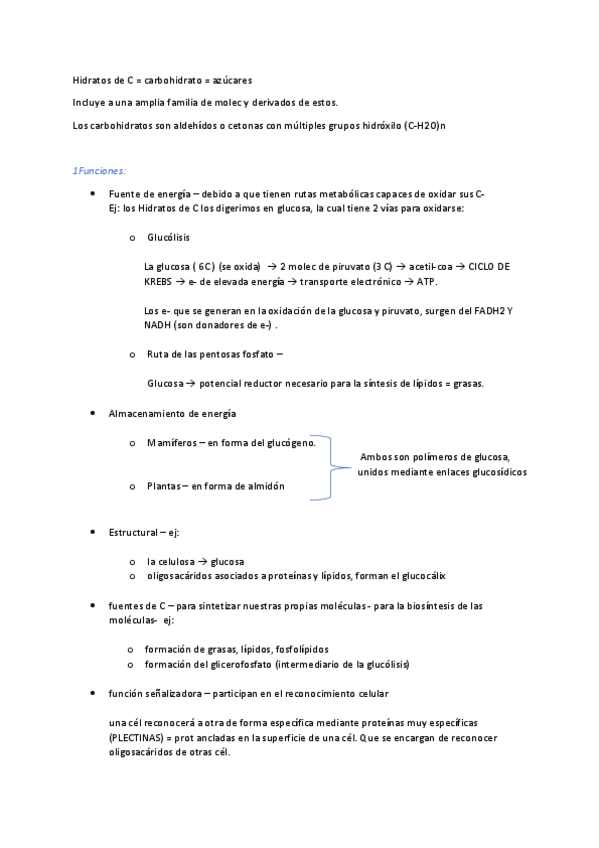 Miniatura del documento T3-hidratos-de-carbono.pdf