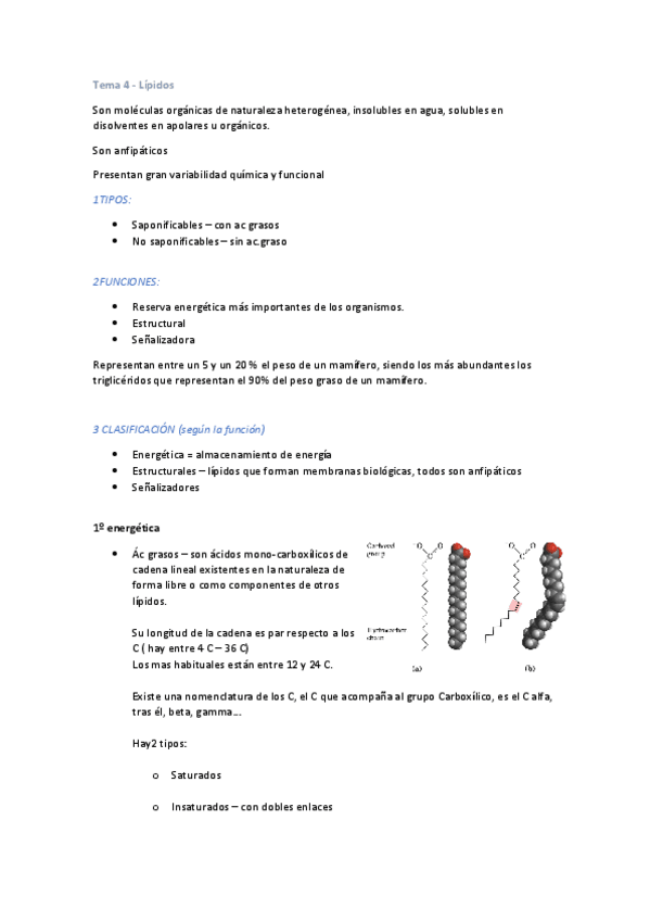 Miniatura del documento T4-Lipidos.pdf