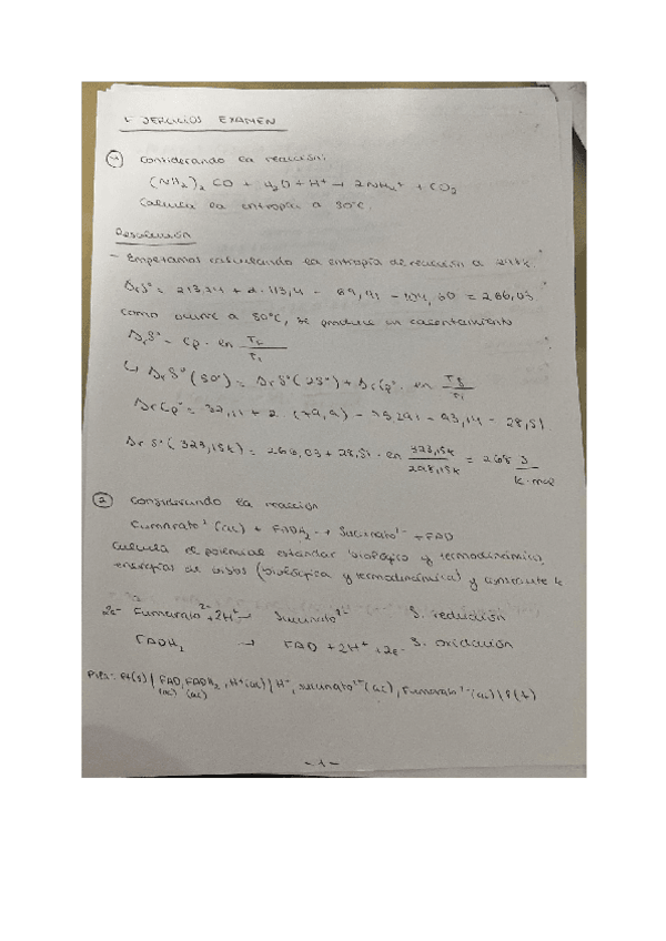 Miniatura del documento EXAMEN-2023-RESUELTO.pdf