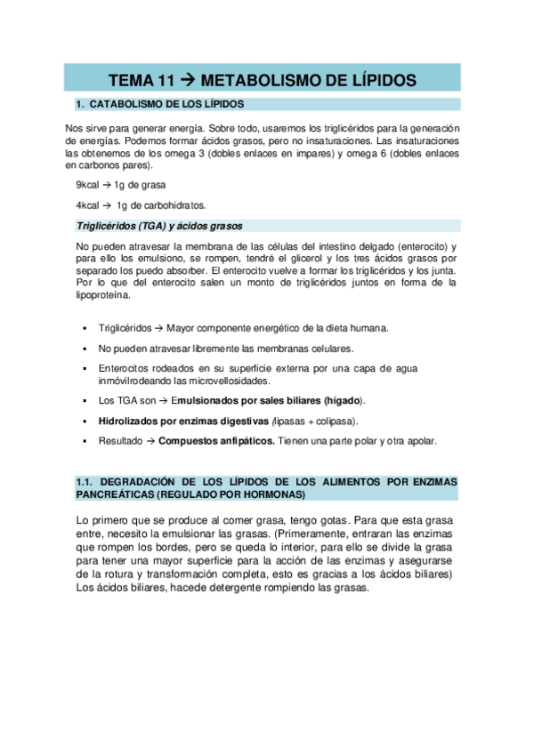 Miniatura del documento TEMA-11.-Metabolismo-de-lipidos.pdf
