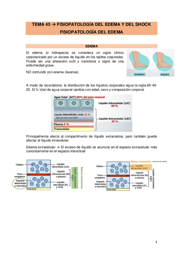 Miniatura del documento 1.-Edema.pdf