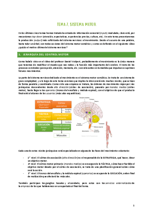 Miniatura del documento TEMAS-7-8.pdf