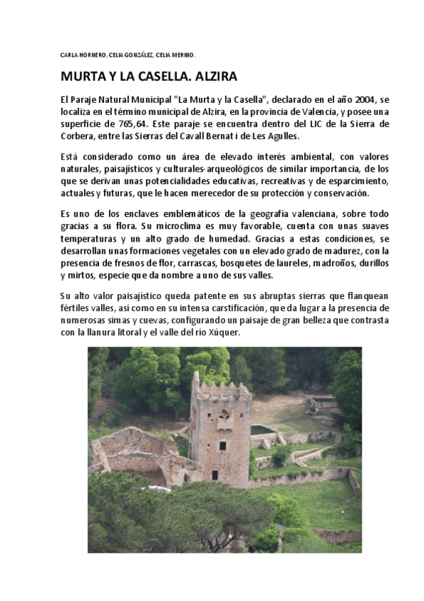 Miniatura del documento MURTA-Y-CASELLA.pdf