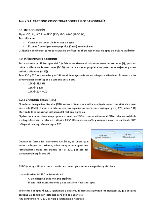 Miniatura del documento Tema-5.1-CARBONO-COMO-TRAZADORES-EN-OCEANOGRAFIA.pdf