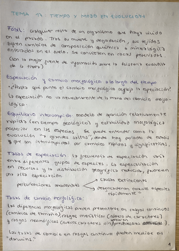 Miniatura del documento Tema17apuntes.pdf