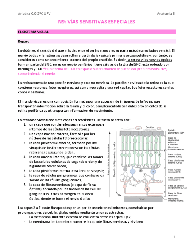 Miniatura del documento N9-vias-sensitivas-especiales.pdf