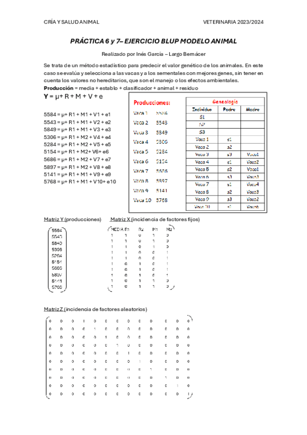 Miniatura del documento PRACTICA-BLUP.pdf