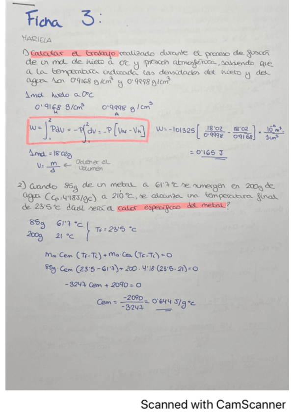 Miniatura del documento Ficha-Mariela.pdf