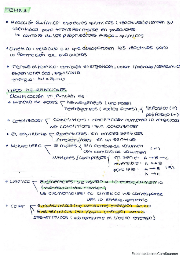 Miniatura del documento IRHO-Toda-la-teoria.pdf