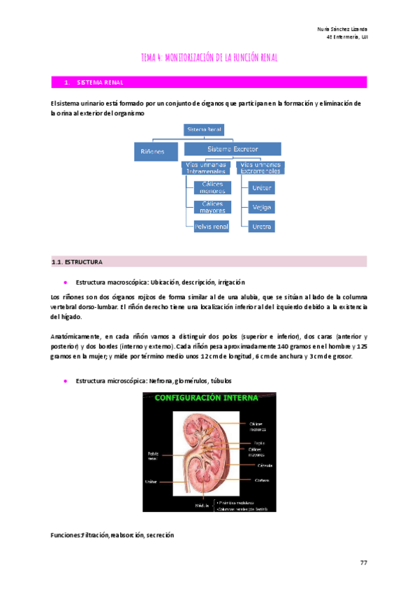 Miniatura del documento TEMA-4-MONITORIZACION-DE-LA-FUNCION-RENAL.pdf