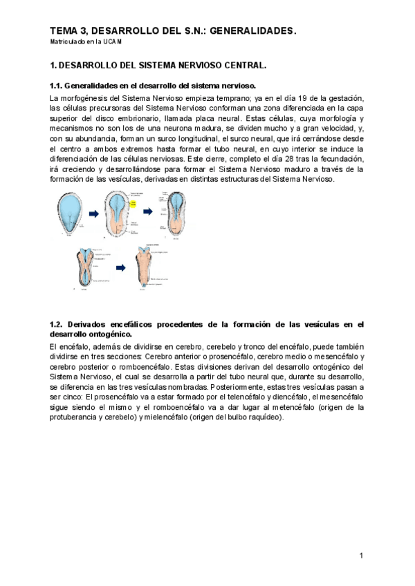 Miniatura del documento Tema 3, Psicobiología.pdf