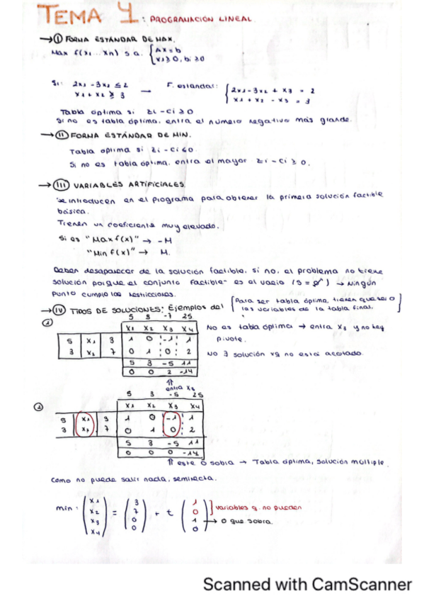 Miniatura del documento Tema-4-Mates-II.pdf
