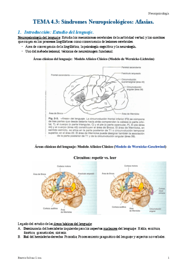 Miniatura del documento Afasias.pdf