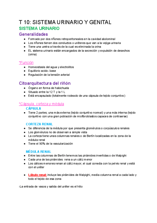 Miniatura del documento T-10-SISTEMA-URINARIO-Y-GENITAL.pdf