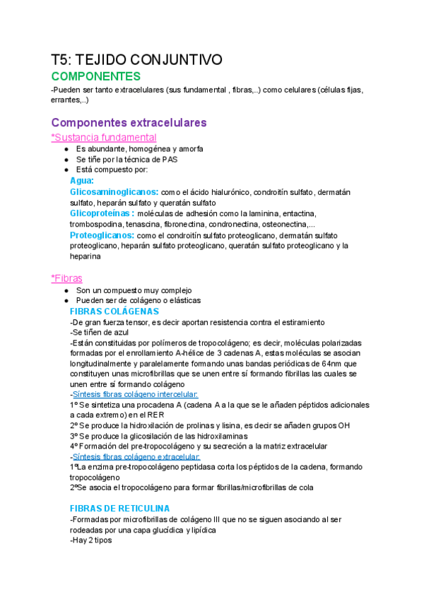 Miniatura del documento T5-TEJIDO-CONJUNTIVO.pdf