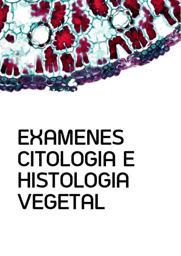 Miniatura del documento examenes-cito-e-histo.pdf