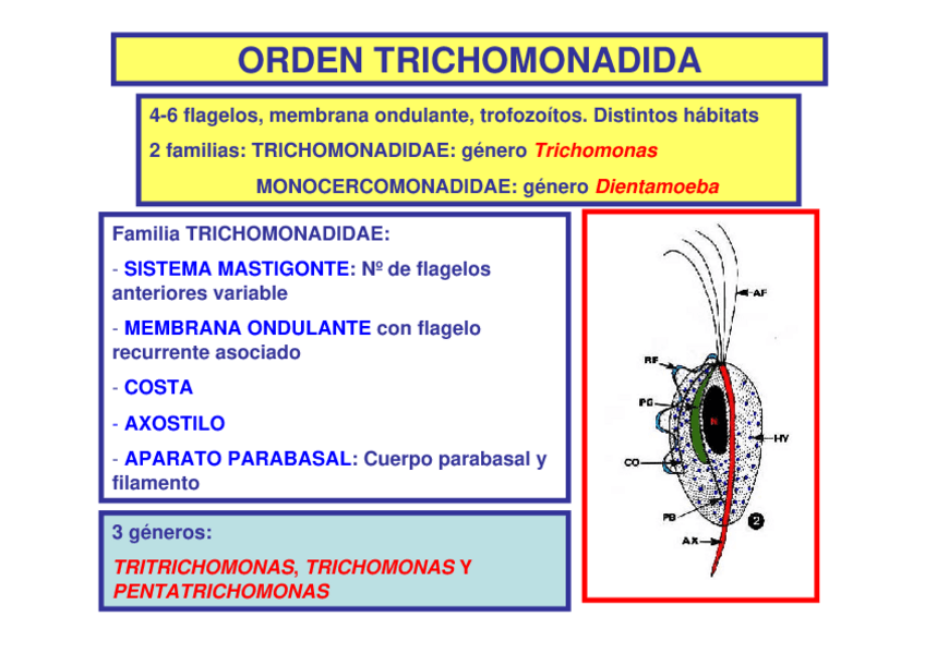 Miniatura del documento tema-7.pdf