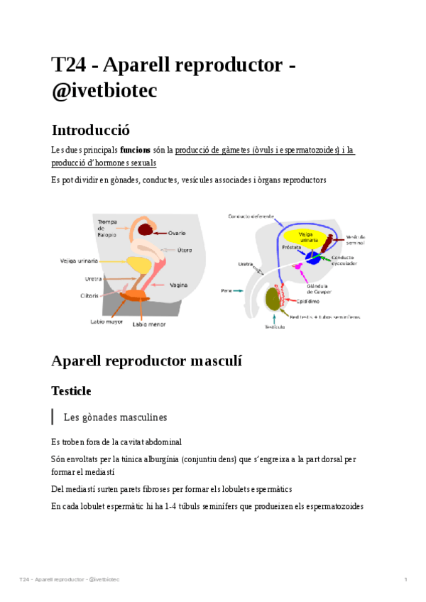 Miniatura del documento T24-Aparell-reproductor.pdf