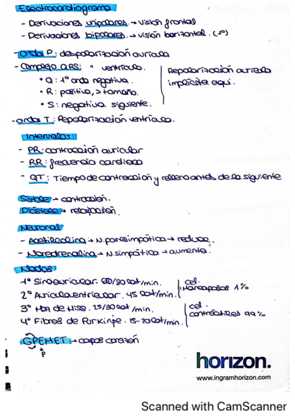 Miniatura del documento Todo-fisiologia.pdf