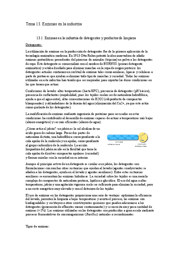 Miniatura del documento Tema-13.docx.pdf