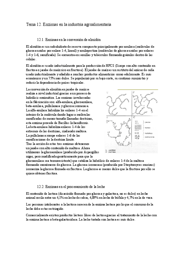Miniatura del documento Tema-12.docx.pdf