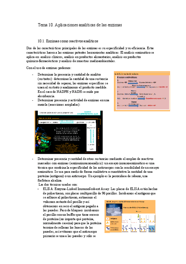 Miniatura del documento Tema-10.docx.pdf