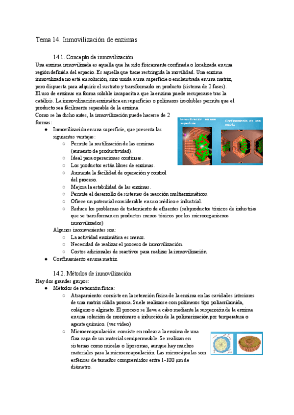 Miniatura del documento Tema-14.docx.pdf