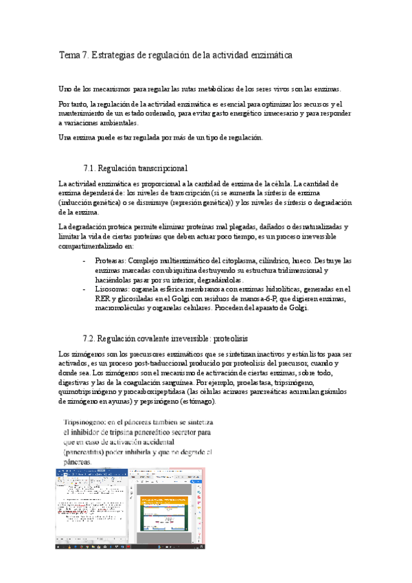 Miniatura del documento Tema-7.docx.pdf