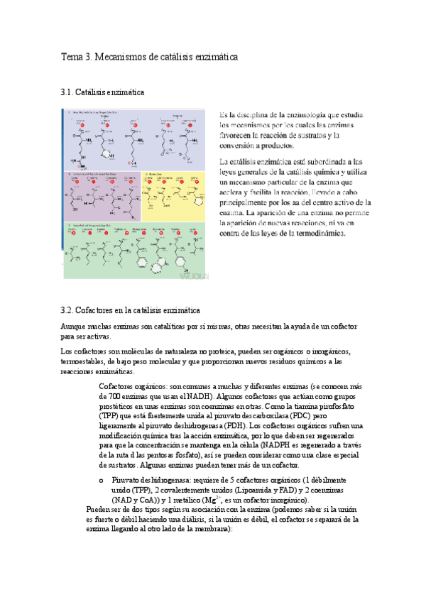 Miniatura del documento Tema-3.docx.pdf