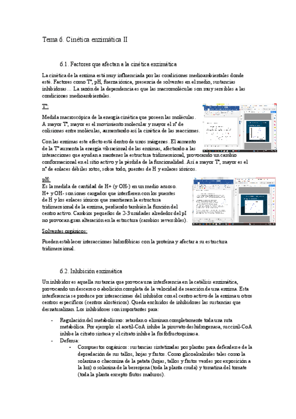 Miniatura del documento Tema-6.docx.pdf