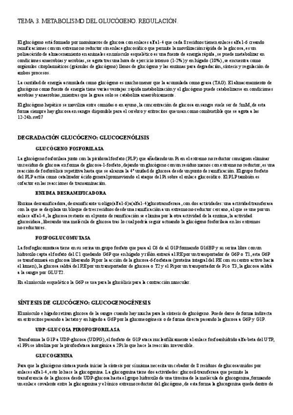 Miniatura del documento resumen-tema-3.docx.pdf