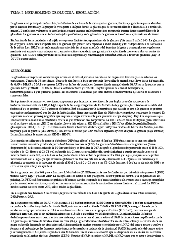 Miniatura del documento resumen-tema-2.docx.pdf