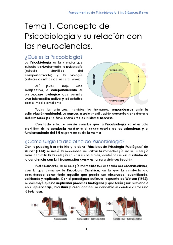 Miniatura del documento TEMA 1. CONCEPTO DE PSICOBIOLOGÍA Y SU RELACIÓN CON LAS NEUROCIENCIAS.pdf