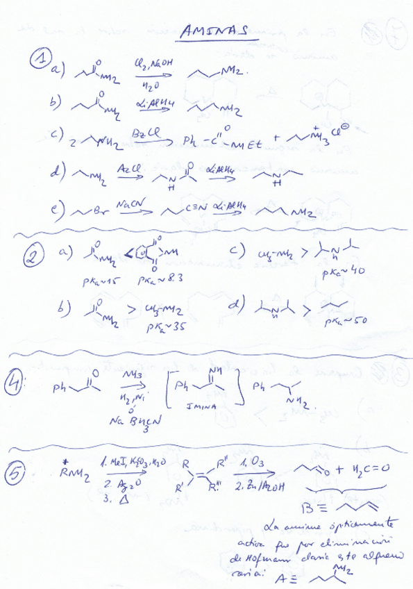 Miniatura del documento SOLUCIONES-a-los-ejercicios-de-AMINAS.pdf