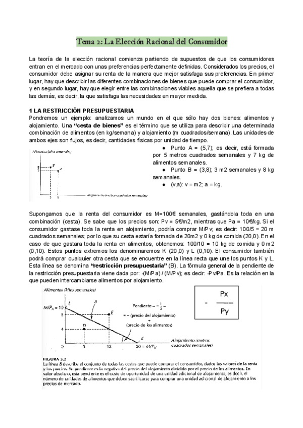Miniatura del documento tema-2.pdf