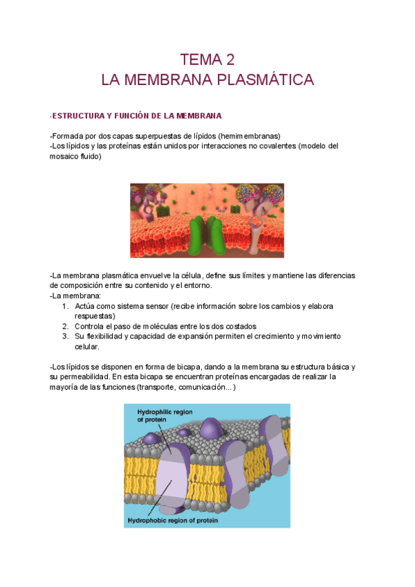 Miniatura del documento Apuntes-biologia.pdf