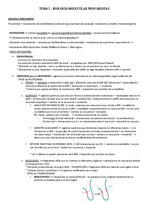 Miniatura del documento T2-Biologia-molecular.pdf