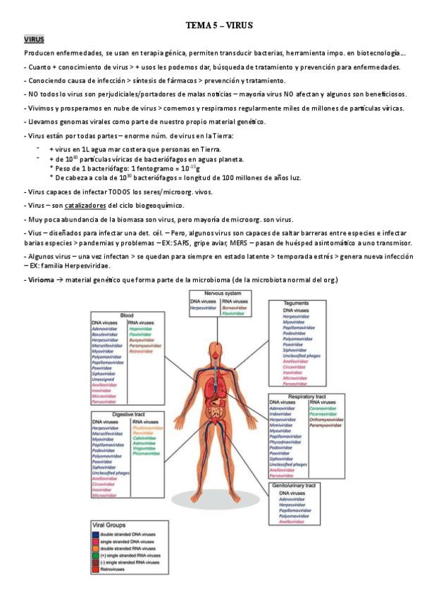 Miniatura del documento T5-Virus-I.pdf