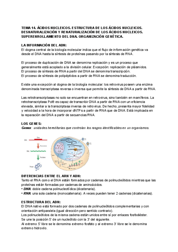 Miniatura del documento TEMA-14.pdf